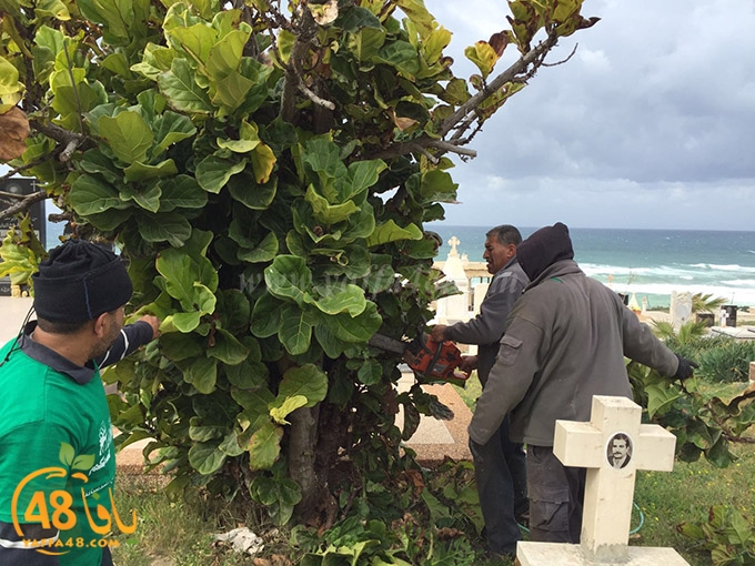 raom aurthudux (2).jpg